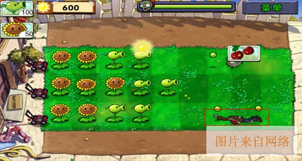 植物大战僵尸杂交版下载手机版不实名认证-植物大战僵尸杂交版下载安装