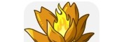 植物大战僵尸融合版3.5.5