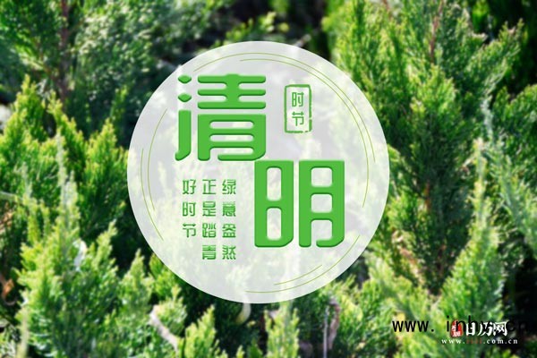 每年清明节的时间是几月几日，清明节是在每年的几月几日
