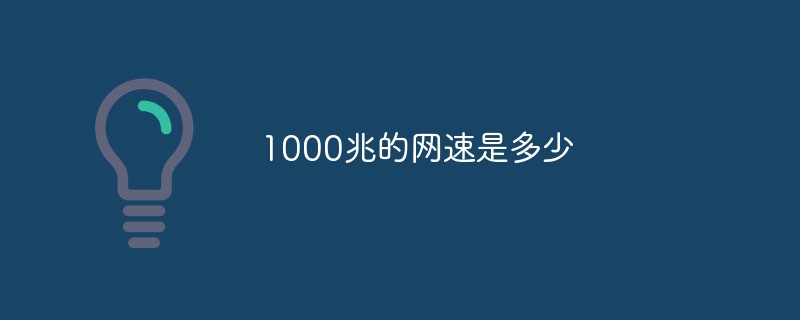 1000兆的网速是多少-1000兆的网速有多快