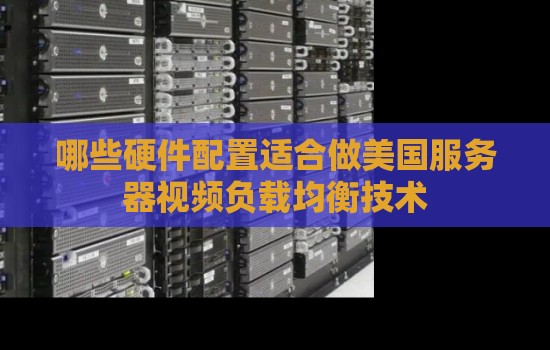 哪些硬件配置适合做美国服务器视频负载均衡技术