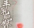 丰乳肥臀TXT下载,丰乳肥臀TXT电子书下载
