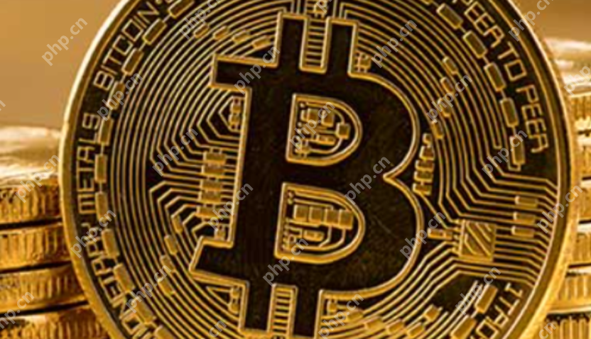 wbf交易所是什么意思_wbf交易所是什么