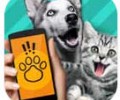 猫狗翻译器免费版下载-pet translator猫狗翻译器下载