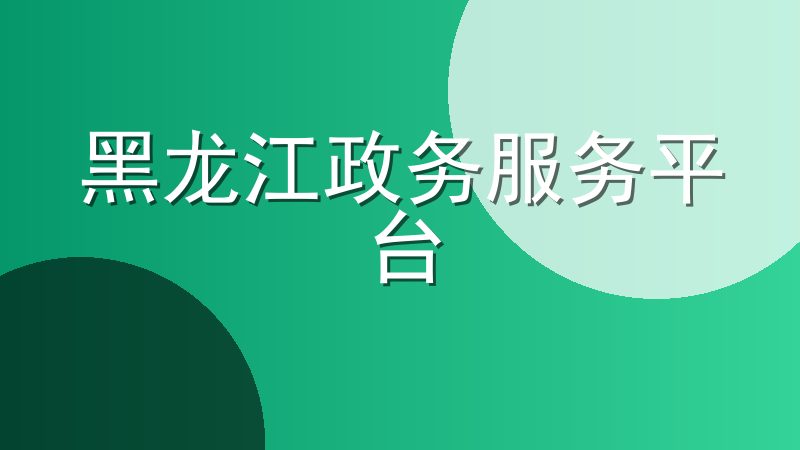 黑龙江政务服务平台：http://zwfw.hlj.gov.cn